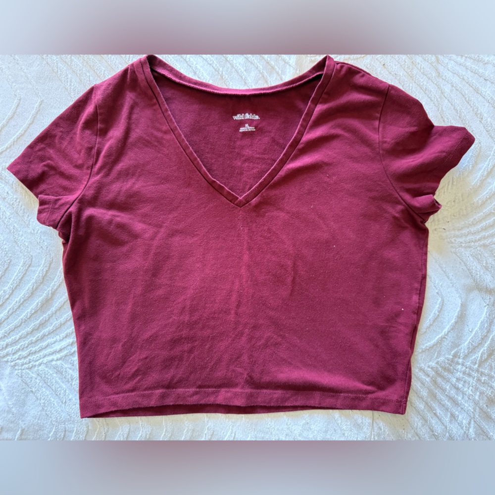 Wild Fable Maroon V-Neck Crop Top